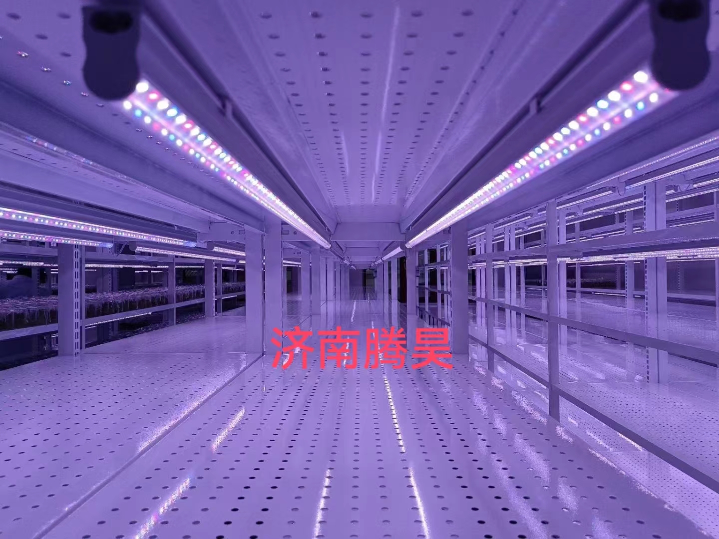 組培架，培養(yǎng)架，光照培養(yǎng)架，組培室設計，組培室無菌凈化